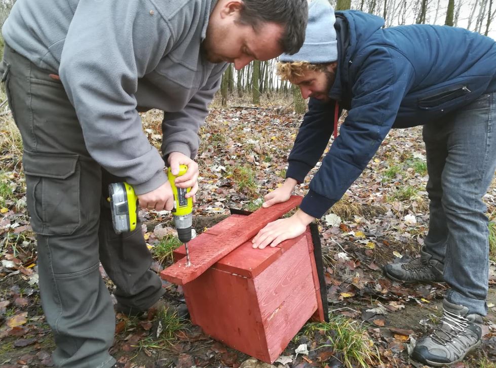 Ha a létra kinyílt (vagy bajlódik vele más) akkor jöhet a földi előkészület. Esetünkben a szögek helyének előfúrása, mert böszme nagy szegek voltak csak nálunk és nehogy széthasadjon a tartódeszka. 