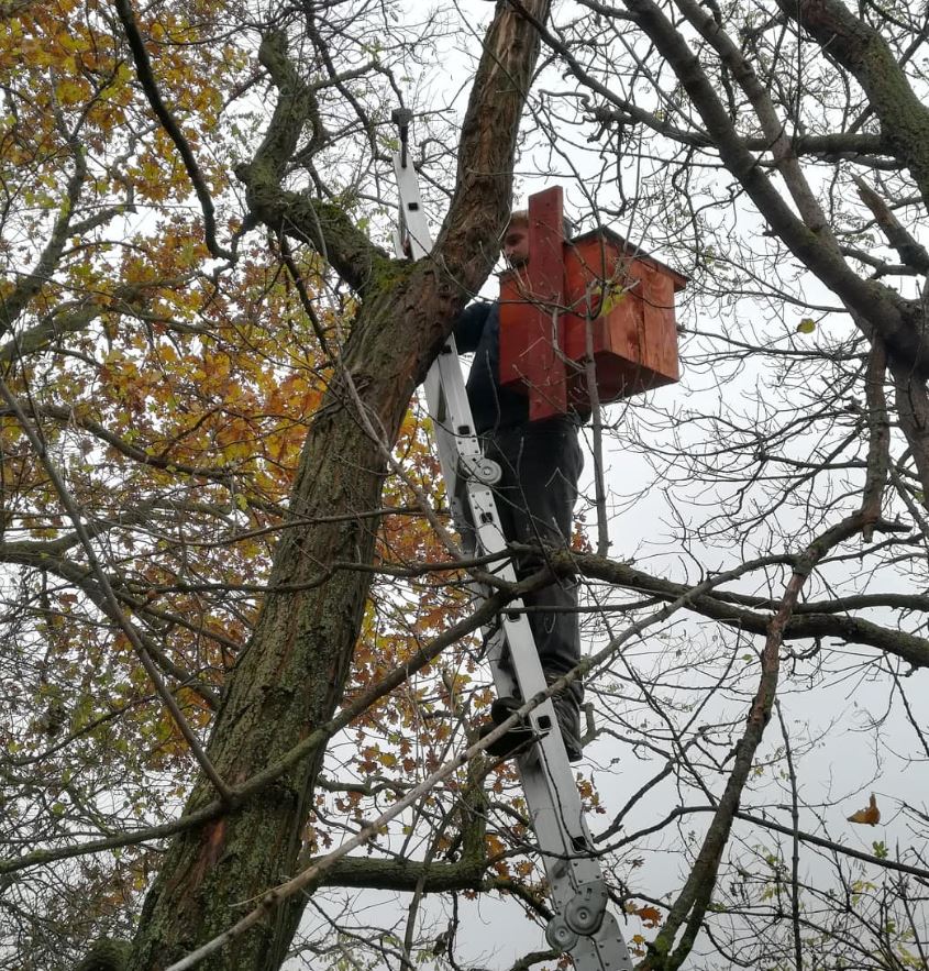 Itt már alakul. Akkor hogy is tegyem? Alulról olyan egyenesnek tűnt!