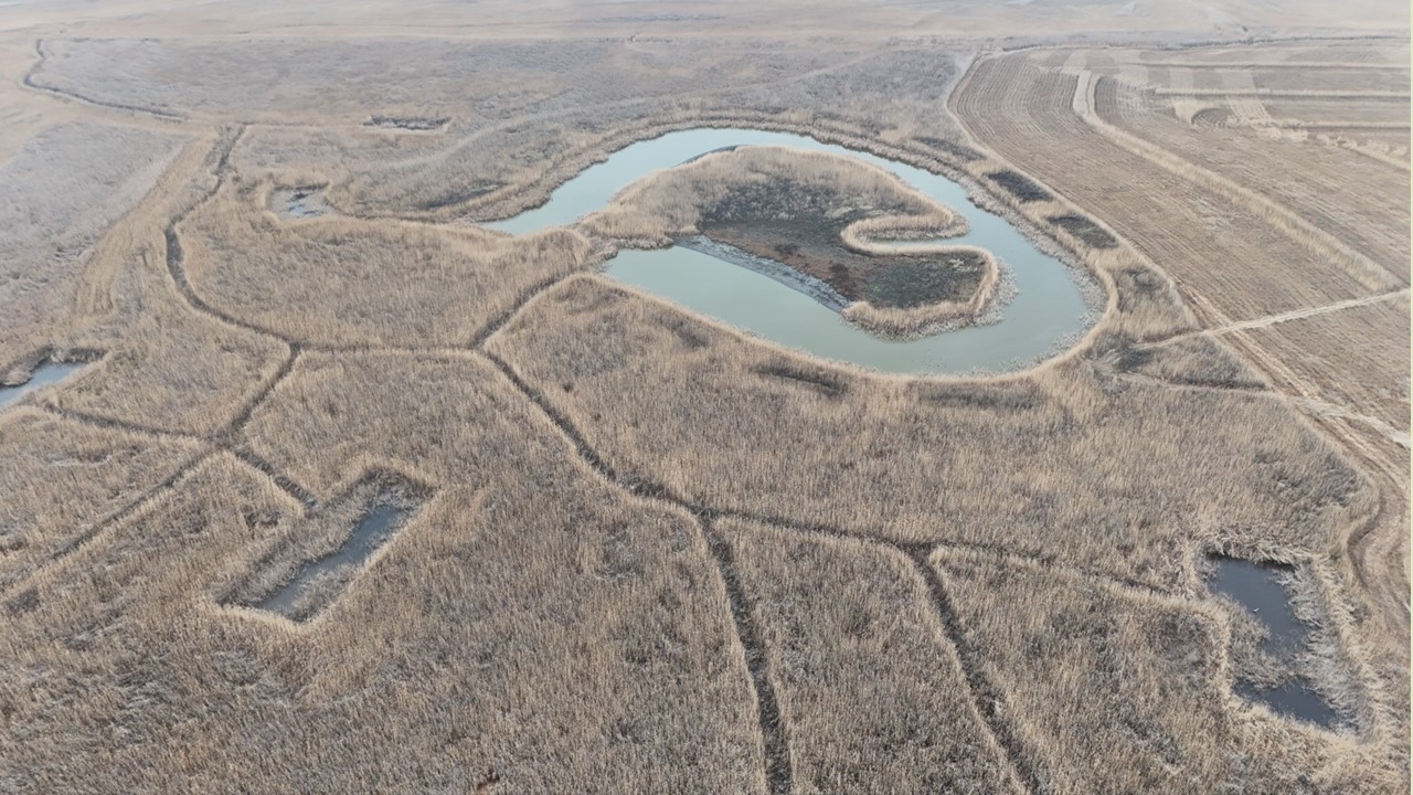 Pár napos felvétel. A kiszáradt tájban a rekonstrukció adja az utolsó foltokat ahol van víz. És még hosszú perceket lehet beszélni csak erről a pályázatról is...