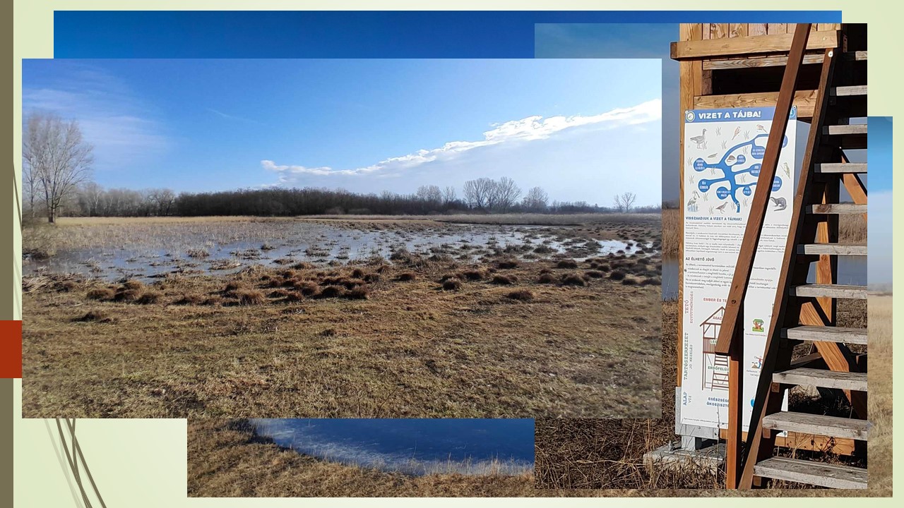 És ha a neten nem akad rá az ember, akkor az offline térben ott a betekintő, és rajta a tábla a hitvallásunkkal.