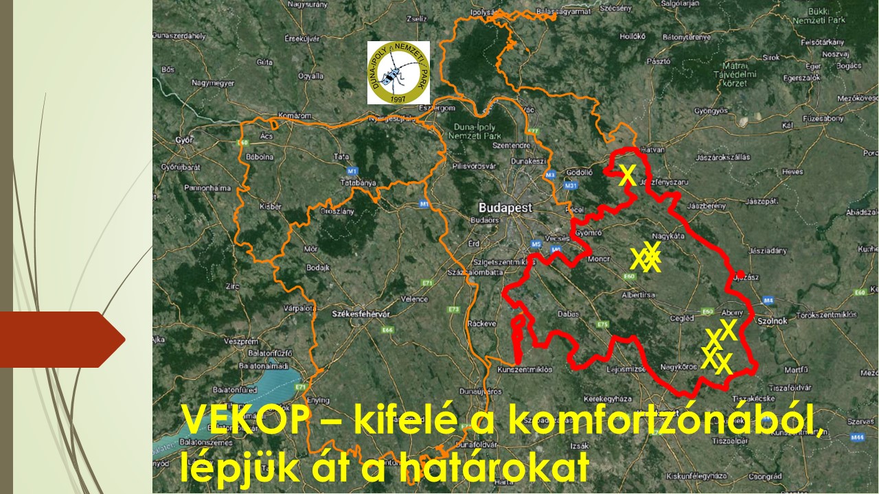 Szóval kifelé a komfortzónából