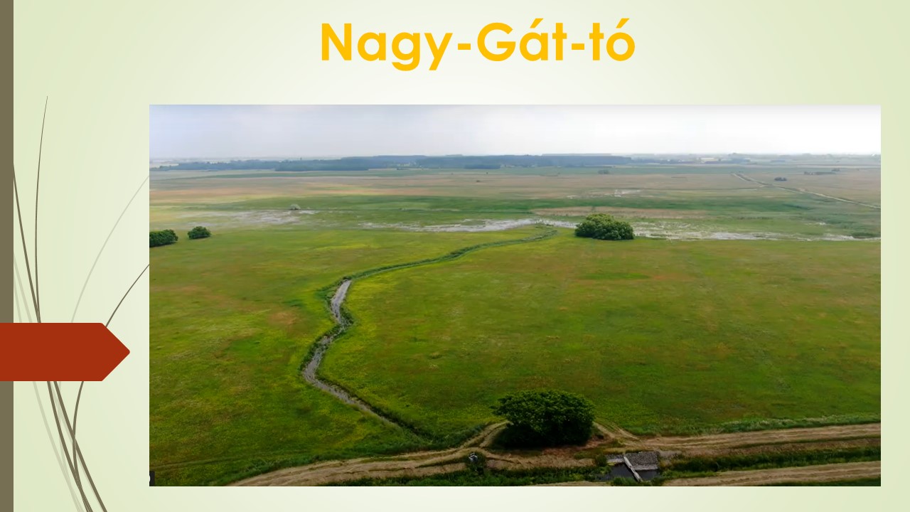 De nyugi, át lett ez jól gondolva.