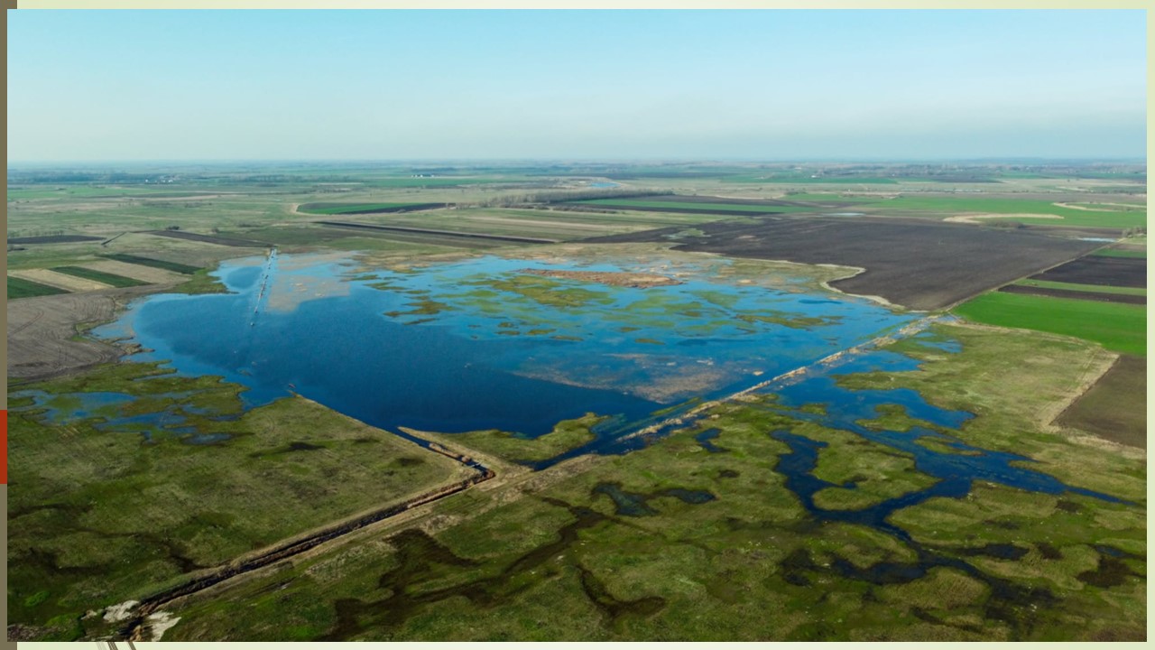 Kis műtárgy, nagy pocsolya. És ami a fontos, nem lehet túltölteni, mert elindul és megkerüli, és megtalálja az eredendő útját. Mert a víz már csak ilyen ügyes.