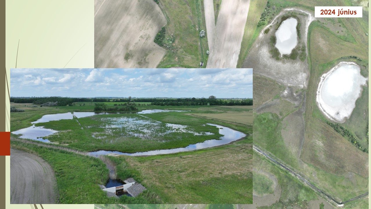 De ha van víz, akkor a boldogabbik.