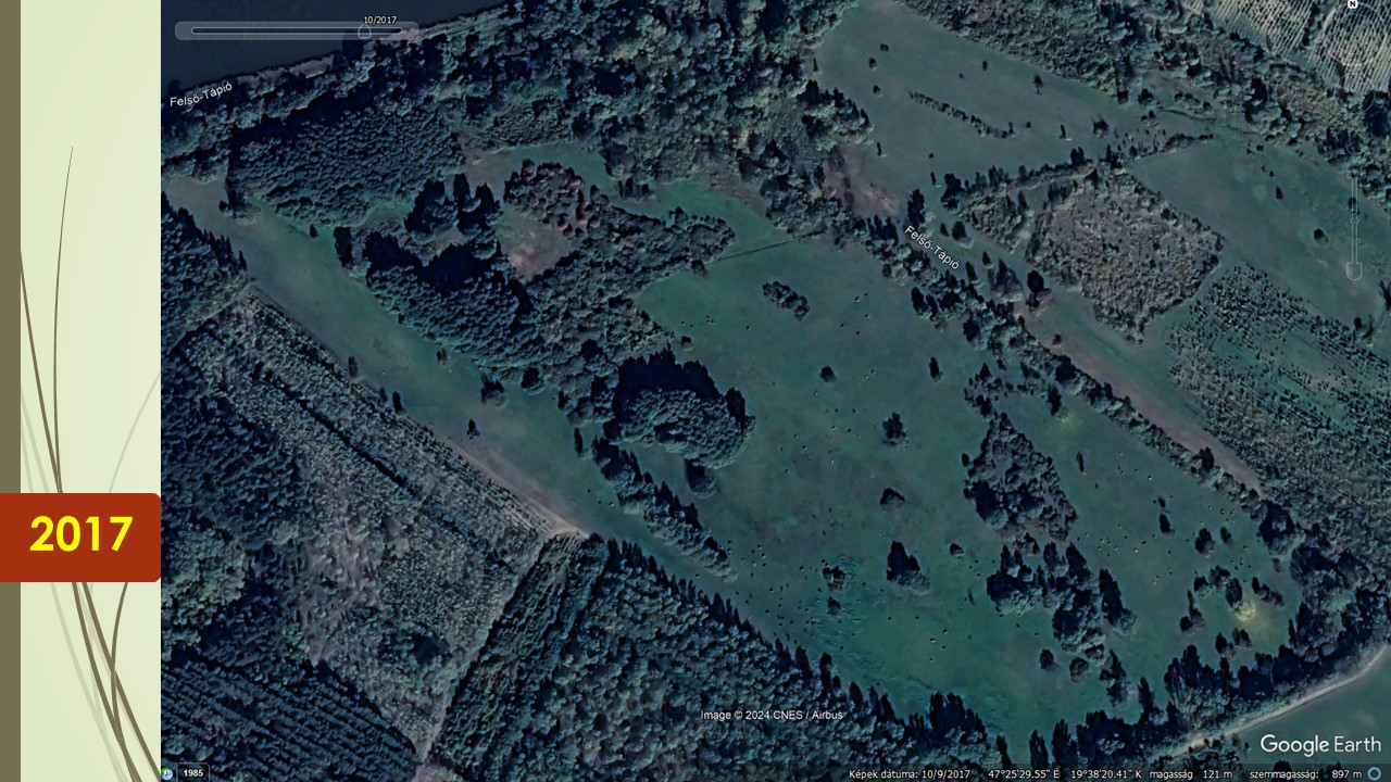 De mire a marhák jönnek