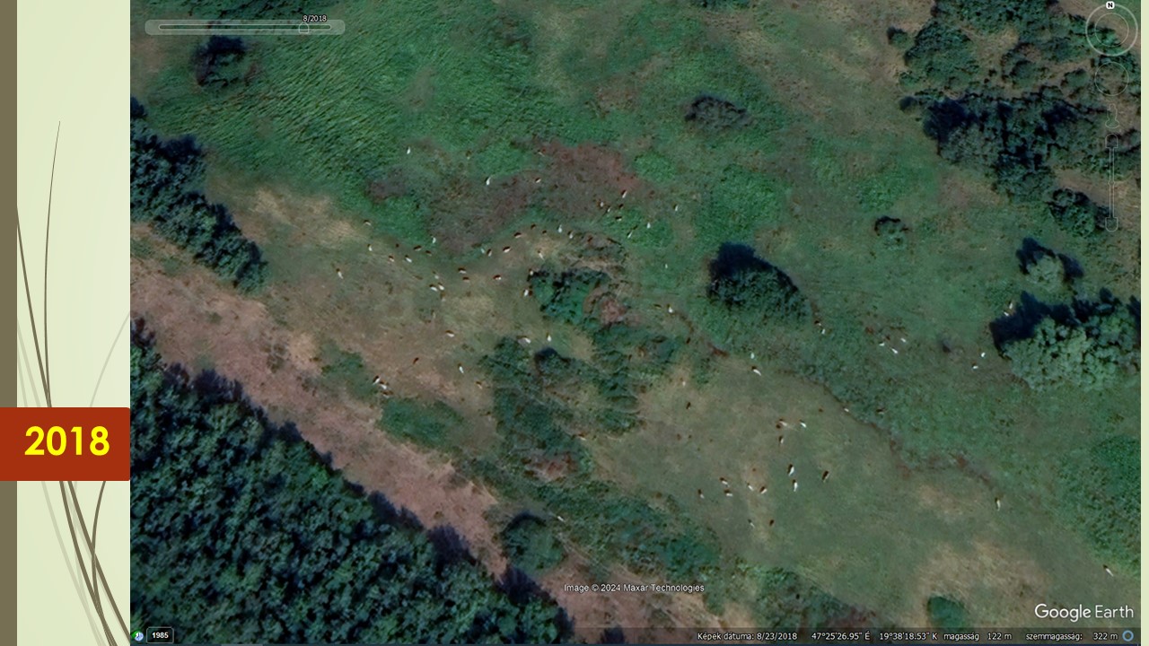 Addigra csak a zöldebb fű mutatja hogy eredendően milyen is ez a táj. Sertyogósnak nevezik, de 2018-ban sem sertyogott még igazán.