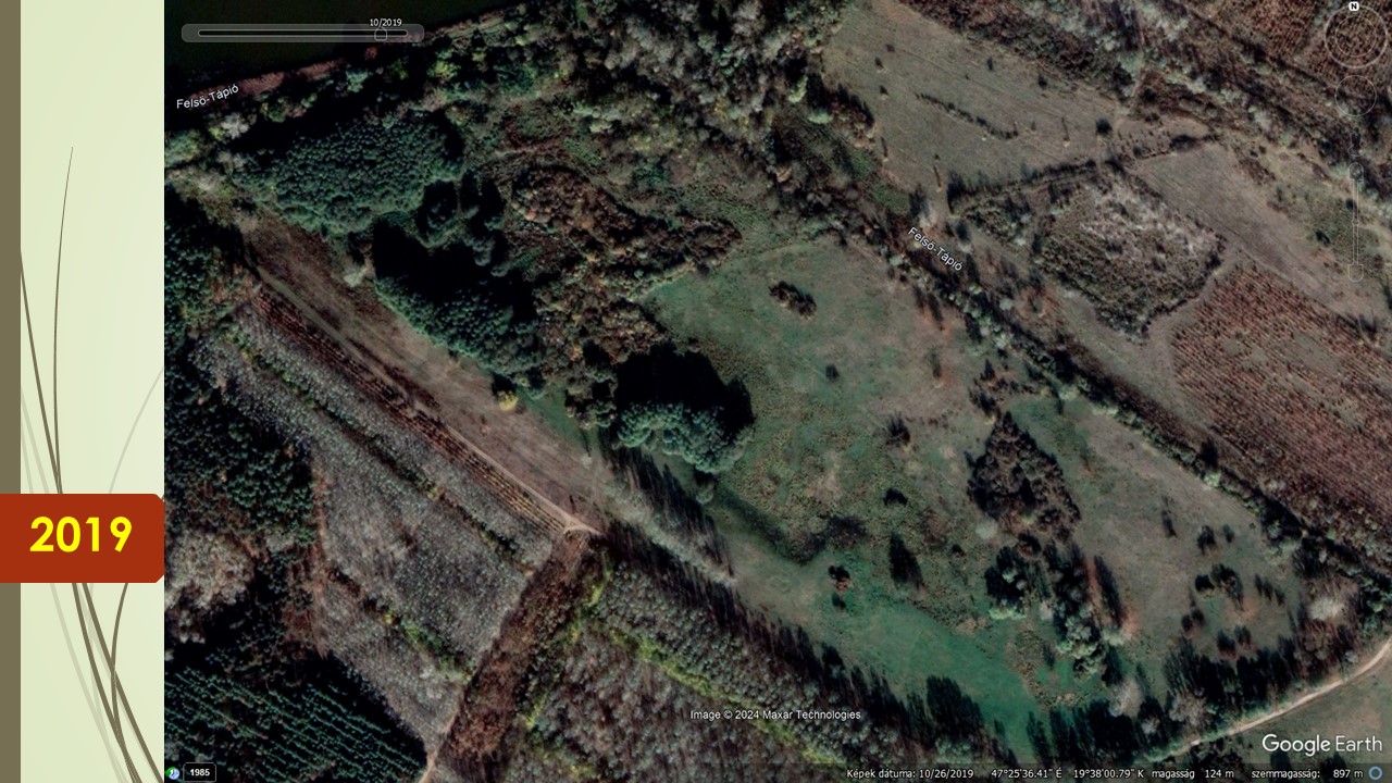 19, mintha valami történne