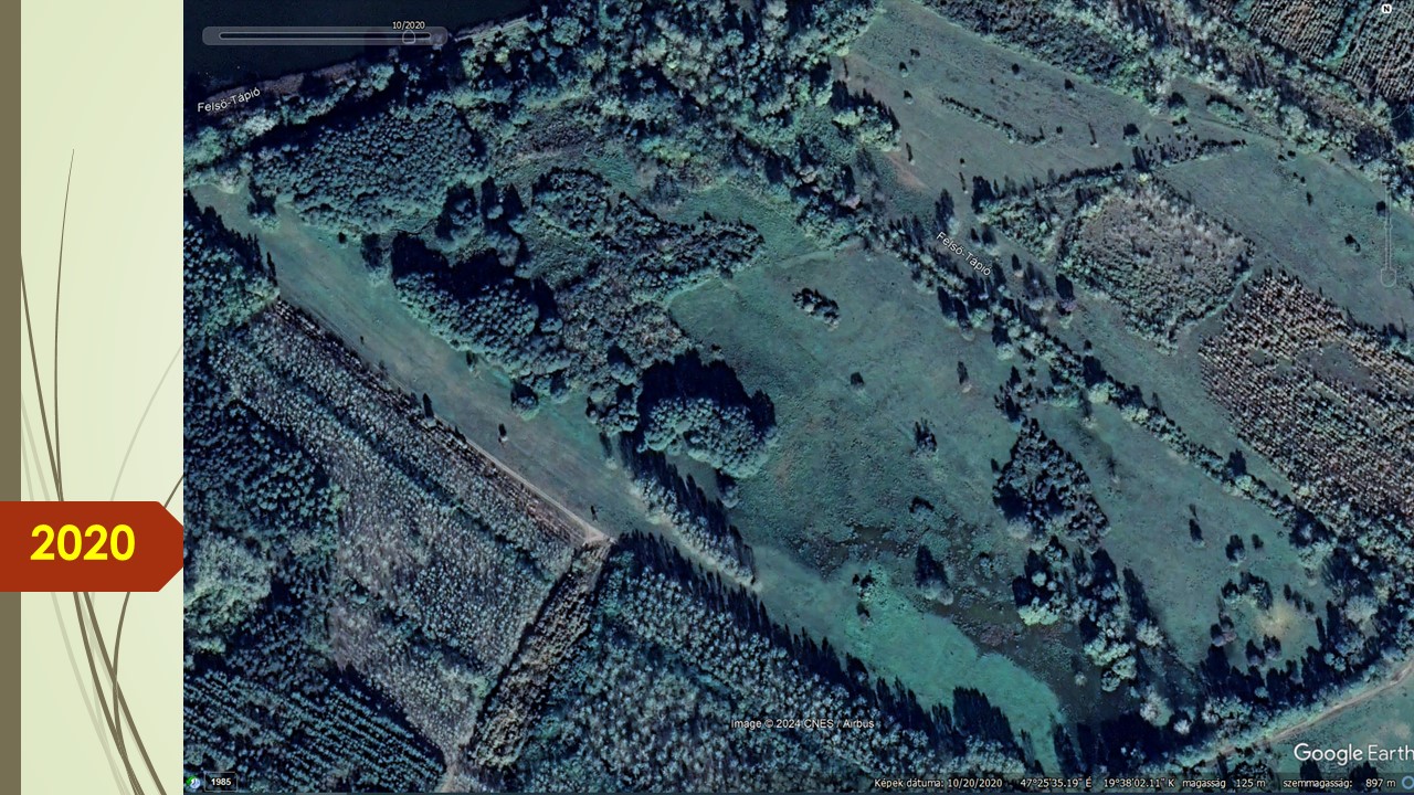 2020, itt már van víz, és ez már a hódok miatt van.