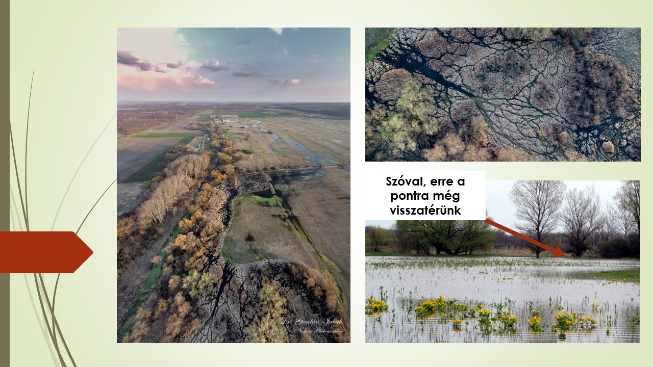 ... és a víz kiment a tájba a helyére. A kaszálás, és a sarjú legeltetése nem lehetetlenül el, és a táj elkezdi visszanyerni azt ahogy valamikor régen kinézhetett.