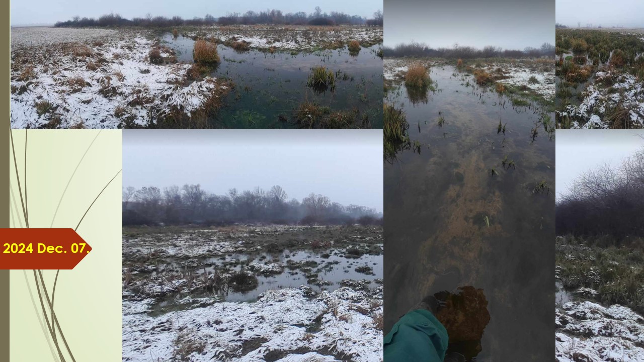 A gyepen lévő egykori vízfolyások medre egykét szezon alatt visszaalakul, és persze van olyan rész ahova a traktor nem tud már bemenni, de ezt a pár százalékos területveszteséget bőven kompezálja a fűhozam növekménye.