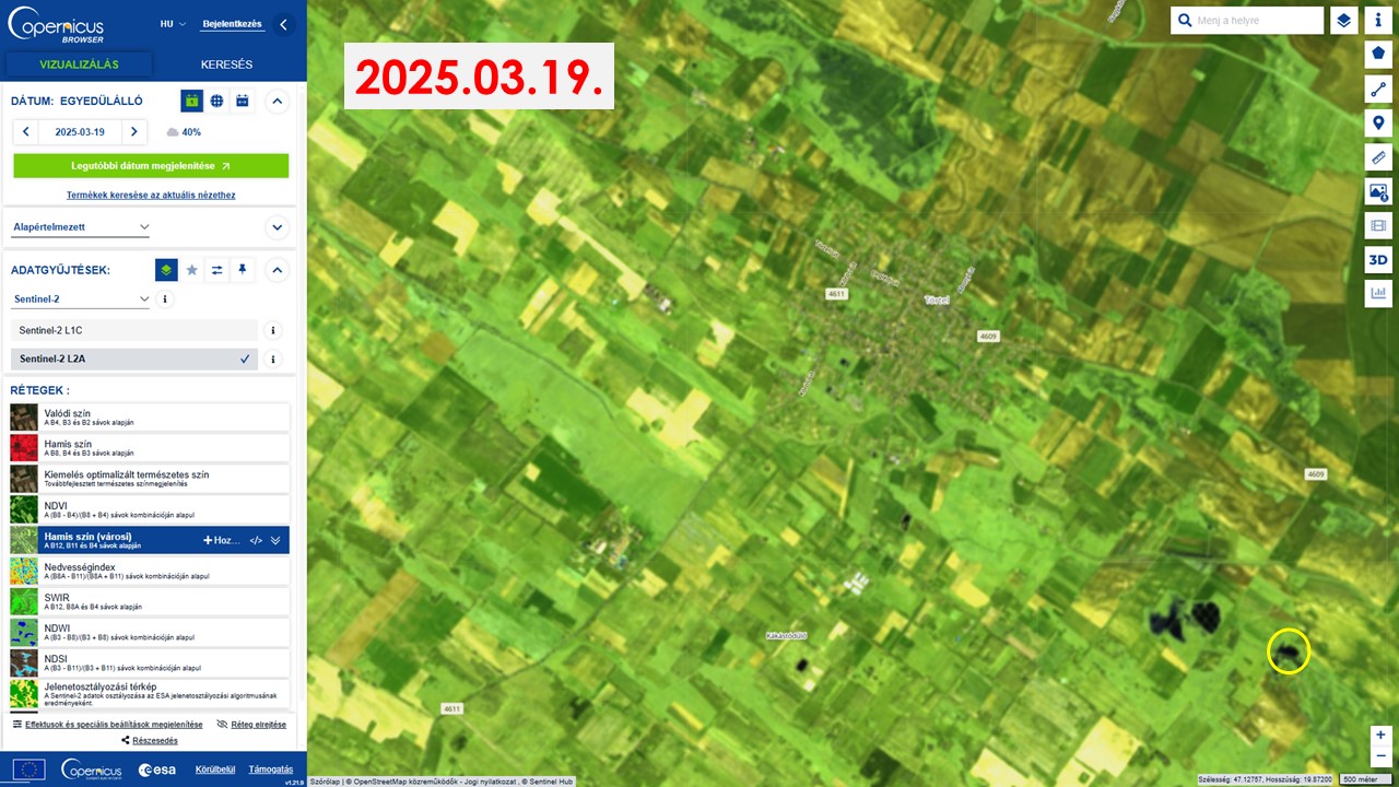 Nagyítsunk. Sárgával idén március 19-én a Törteli-csoda