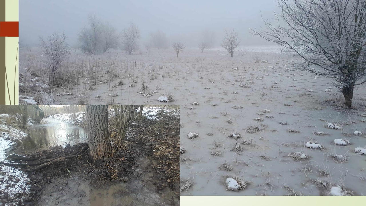 És a nagy tettekhez néha nagyon apró beavatkozások kellenek. Ez a csatorna egy vármegyei kormányhivatal tulajdona, nem nekik ijenjeik nem szoktak lenni, még arra is soksok forintot költöttek hogy megondja nekik valaki hogy hol vannak a árkocskáik. Persze erről akkor még mit sem tudtam amikor egyszer odamentem, 3 talicska földet beletettem, és egy rég kiszáradt tavat helyretettem. Ennyi.