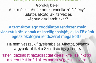 Közellenségképző iskola, kiválasztottságérzés növelő kar, direktmarketingosztály, gyűlölködés szak