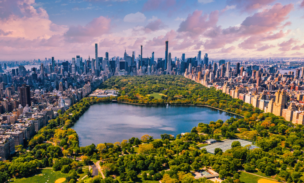 central-park-manhattan-new-york-huge-beautiful-park-surrounded-by-skyscraper-with-pond.jpg
