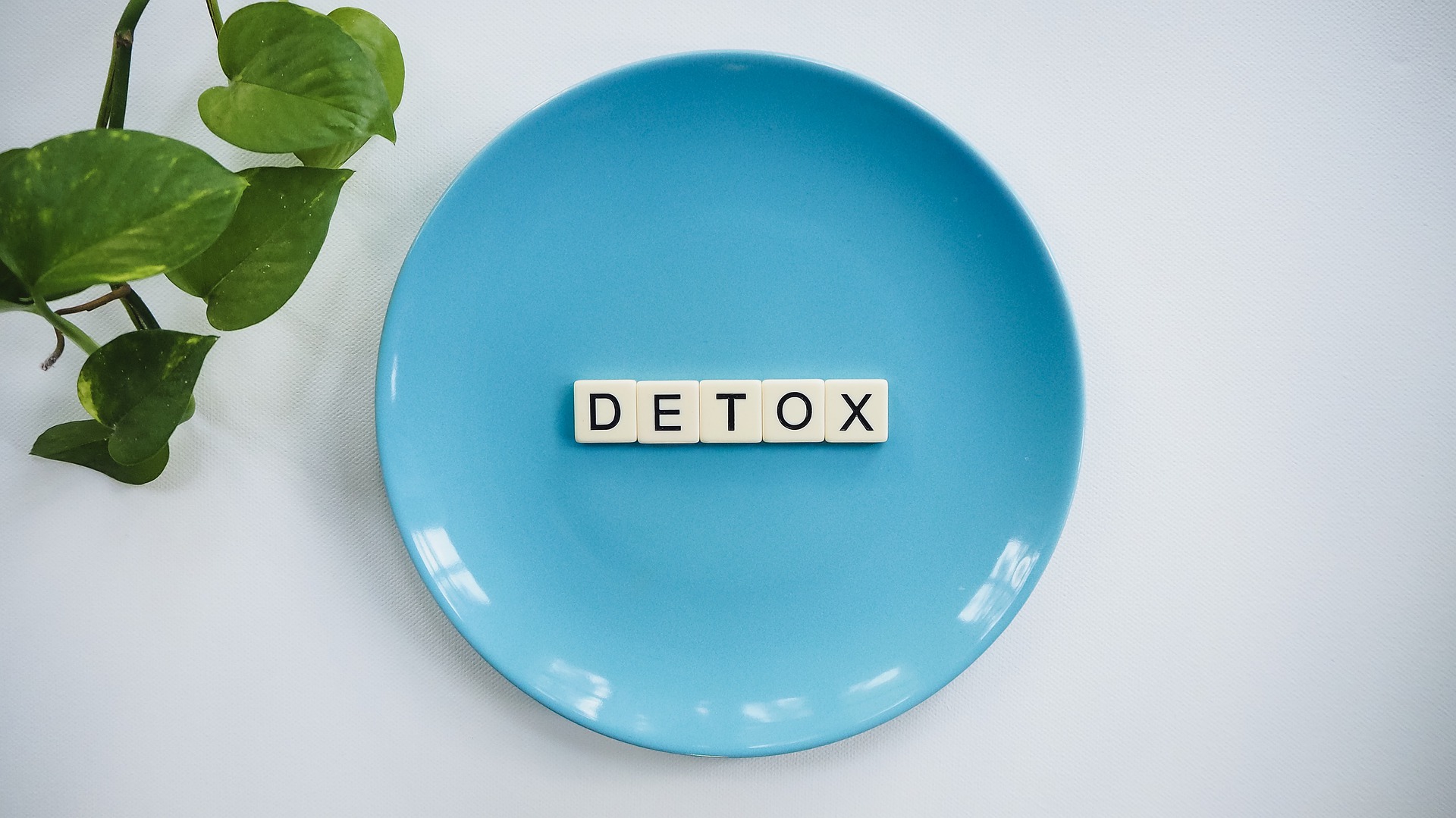 detox-4232110_1920.jpg