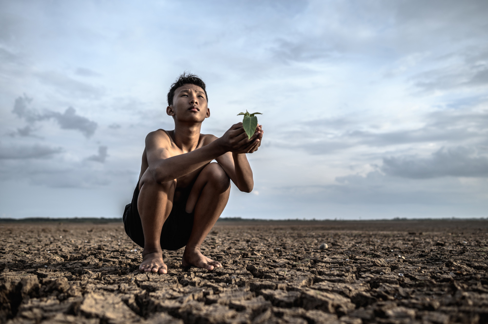 men-sit-their-hands-holding-seedlings-dry-ground-looking-sky.jpg