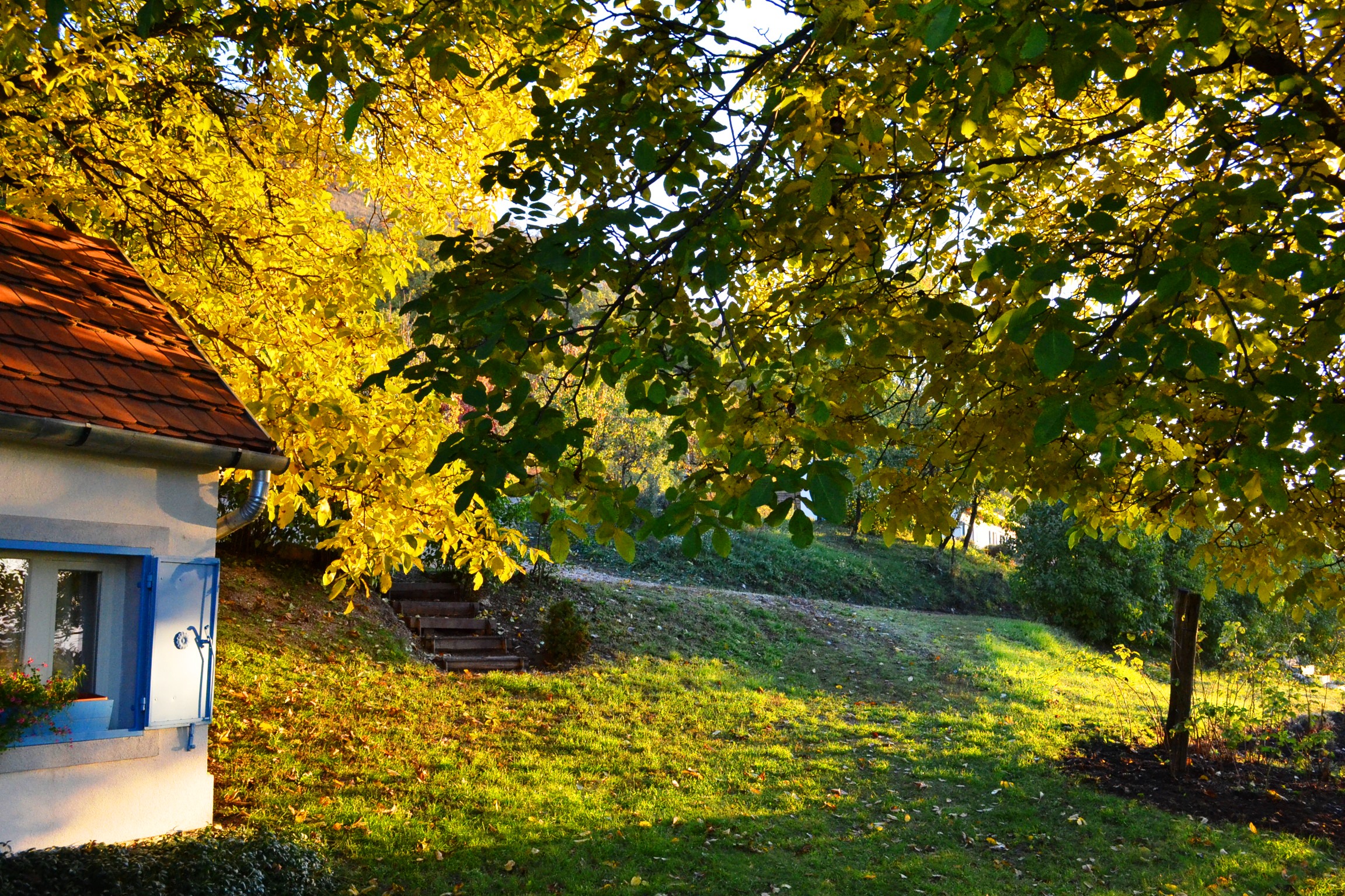 dsc_0049.JPG