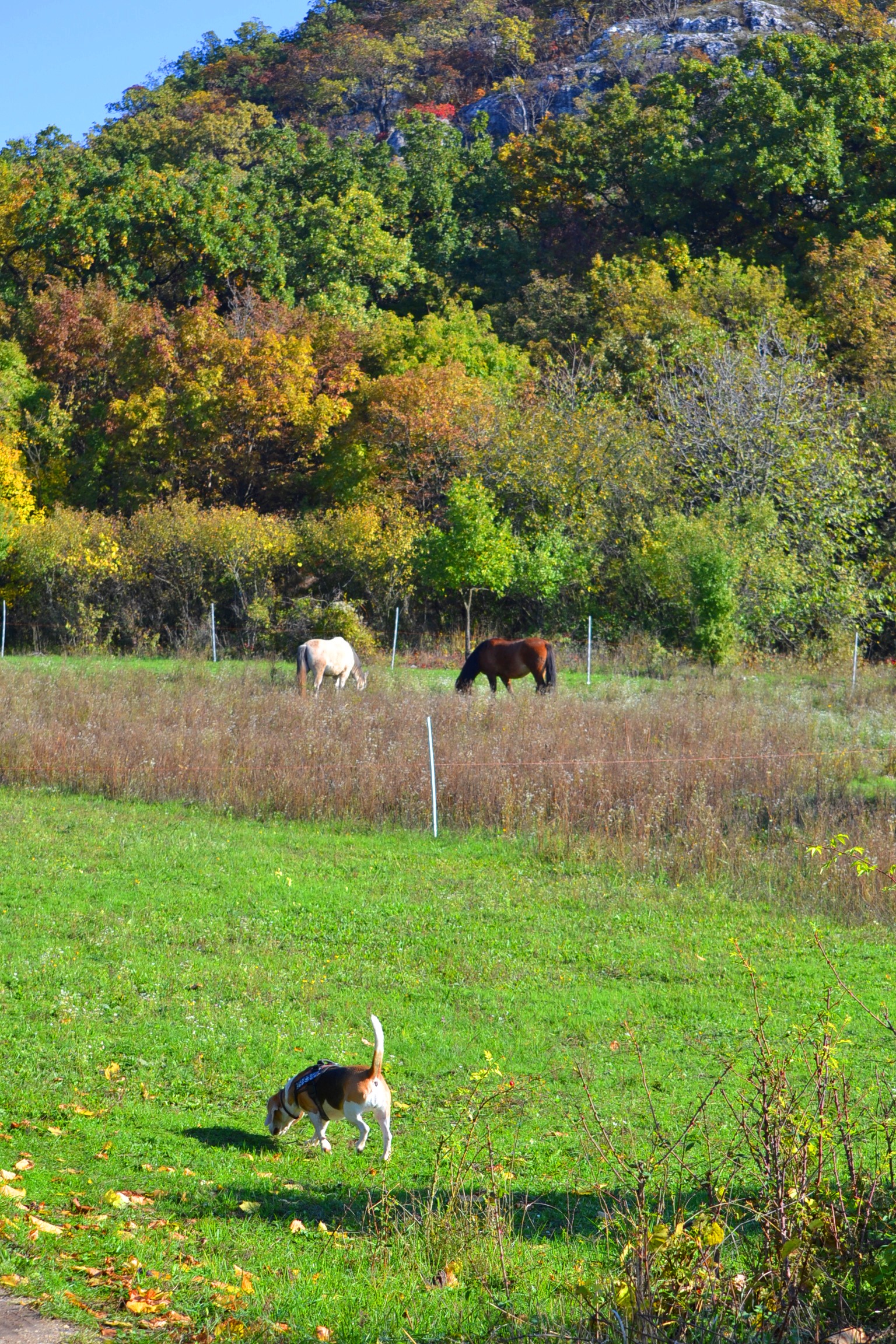 dsc_0053.JPG