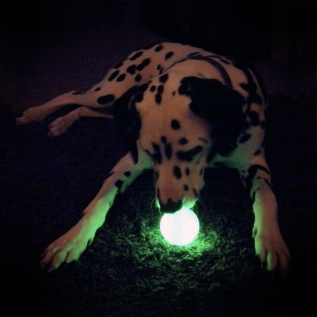 6-Glow-in-the-Dark-Dog-Ball.jpg