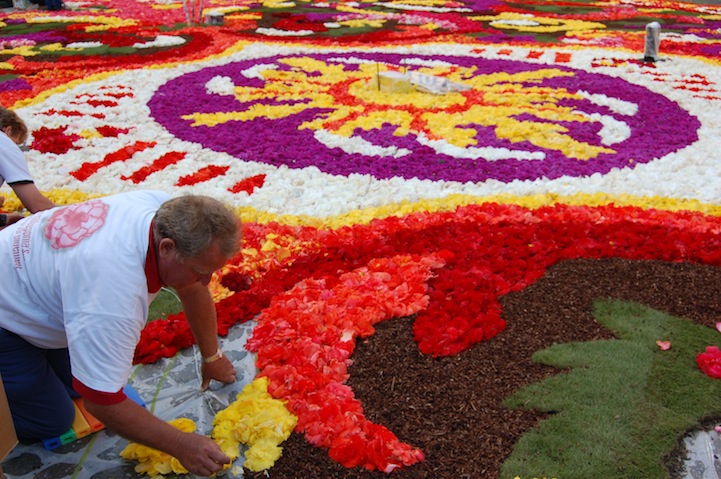 FlowerCarpetFestival6.jpeg