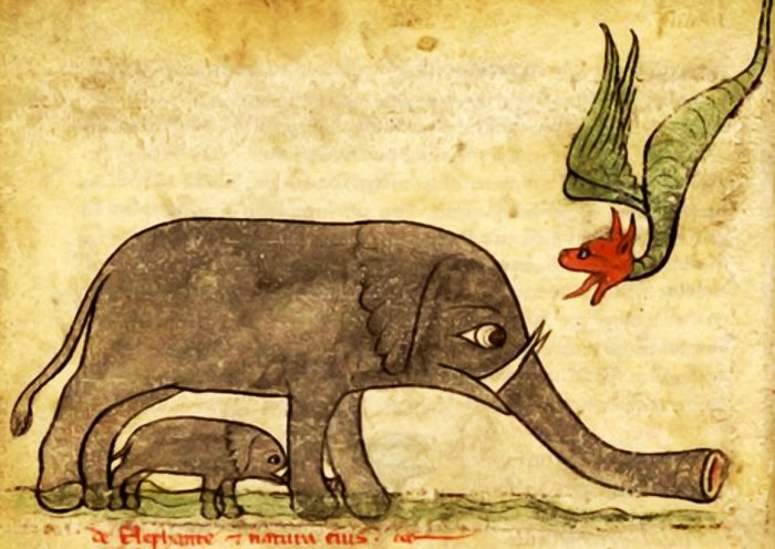 elefant010.jpg