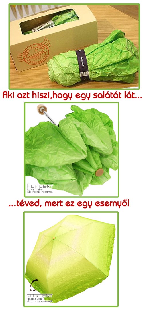 salataernyo_mix.jpg