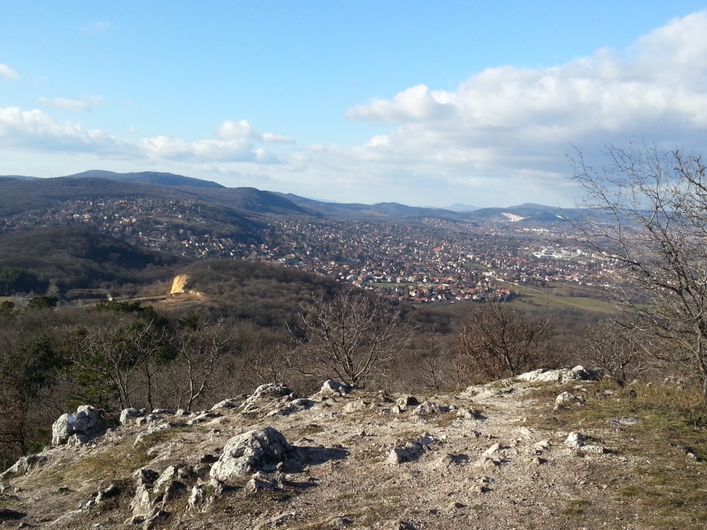 p172-12.jpg
