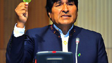 Bolívia fellázad a koka-tilalom ellen