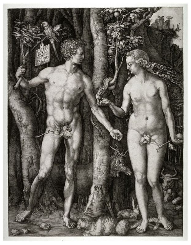 adam-and-eve-1504-1.jpg