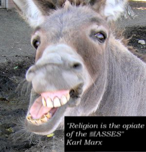 ass-donkey.jpg