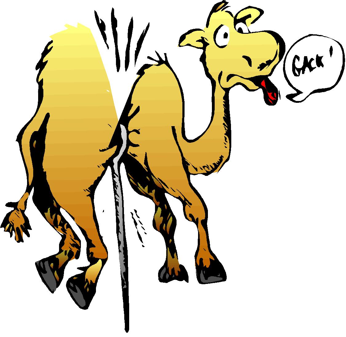 camel-needle-jpeg.jpg