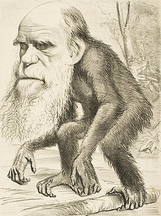 editorial_cartoon_depicting_charles_darwin_as_an_ape_1871.jpg