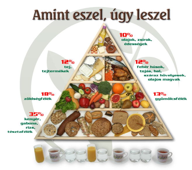 amit_eszel.jpg