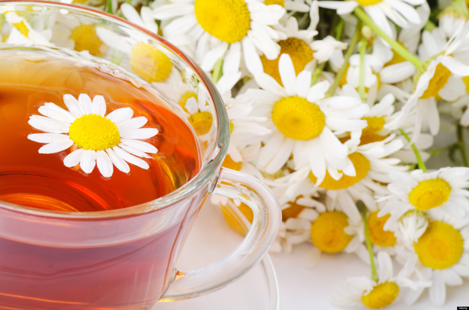 o-camomile-tea-facebook.jpg
