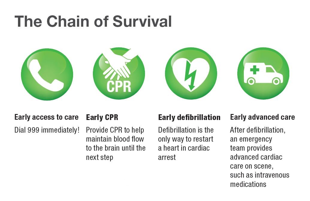 130225-the_chain_of_survival_full_size.JPG