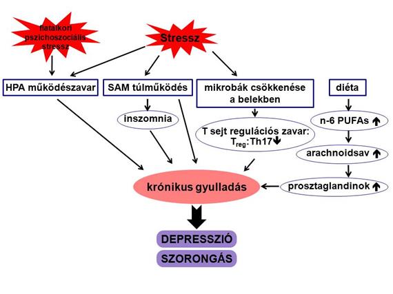 2011-0094_neurologia_hu_1.jpg