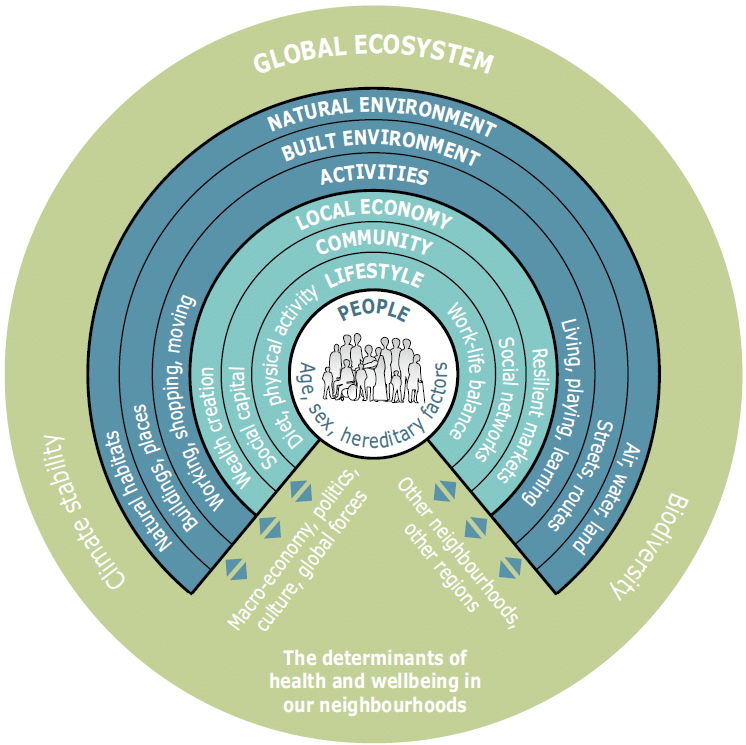 the-determinants-of-health-and-well-being-in-our-neighbourhoods-source-human-ecology.png