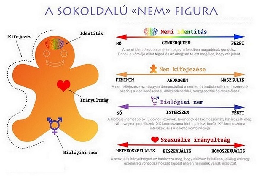 a-sokoldalu-nem-figura_1.jpg