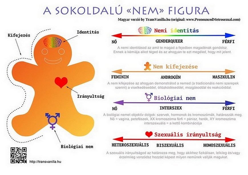 nem-figura.jpg