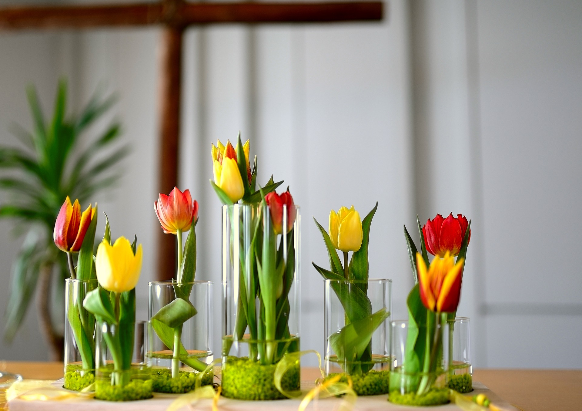 tulips-4895164_1920.jpg