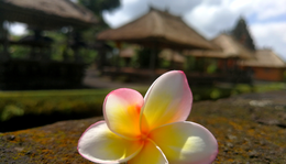 Indonézia, Bali 3. - Templomtúra: Pura Taman Ayun, Bratan, Tanah Lot