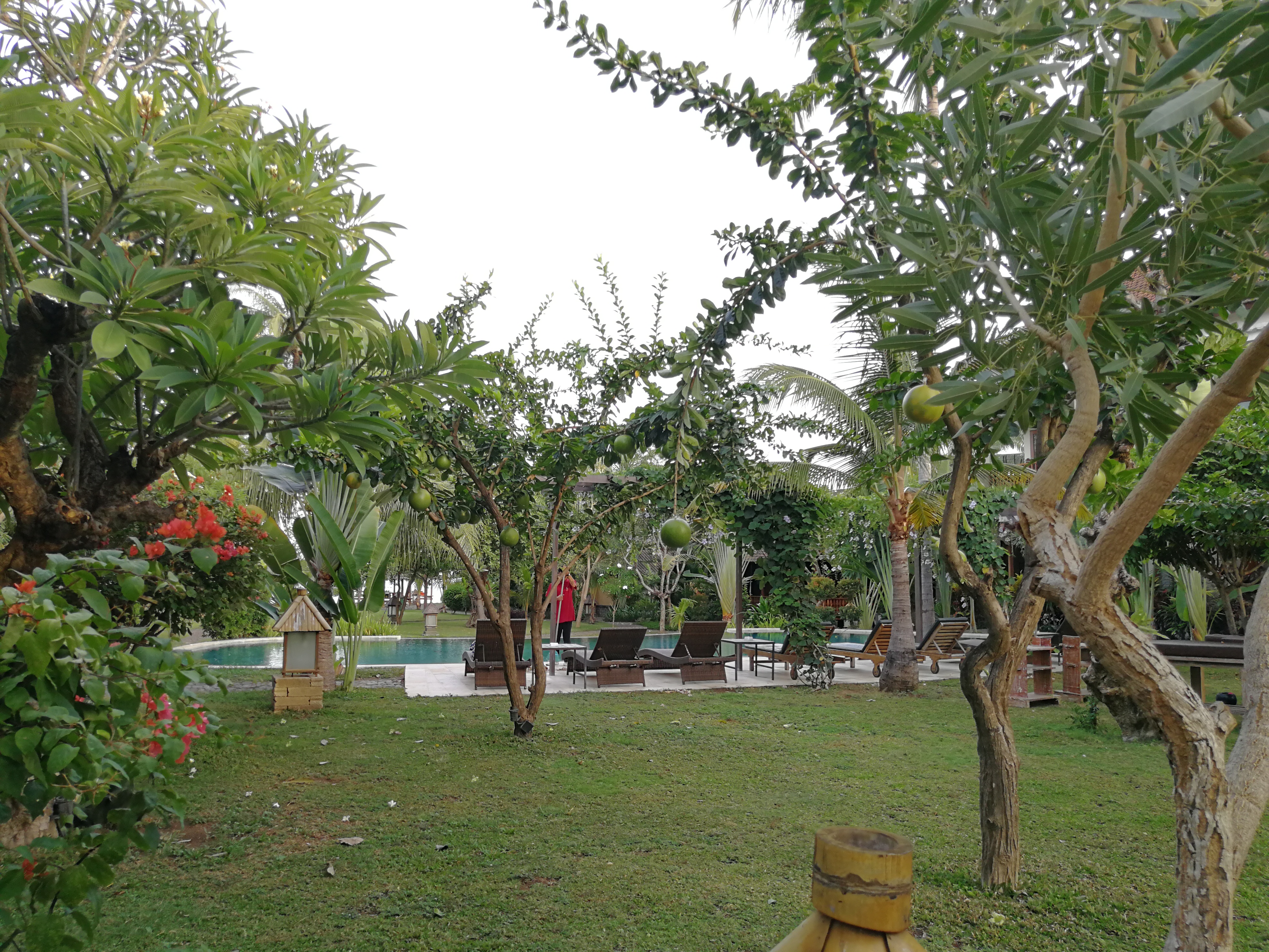 Lomboki szállásunk kertje