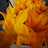 Another picture about the Stockholm trip in 2018: Galma Stan, the old town of Stockholm and my amazing delicious dinner in my life: traditional lentil soup, and a kind of fish in lobster-champage sauce with baked potato. I ate in the Nomad Restaurant, next to the hostel where i stayed. The @cbpstockholm was comfortable and clean, absolutely recommended if you want to stay near to everything