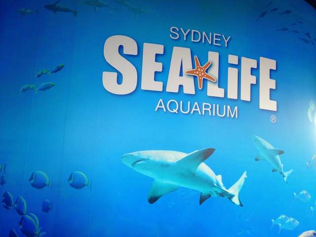 Sea Life Aquarium Sydney