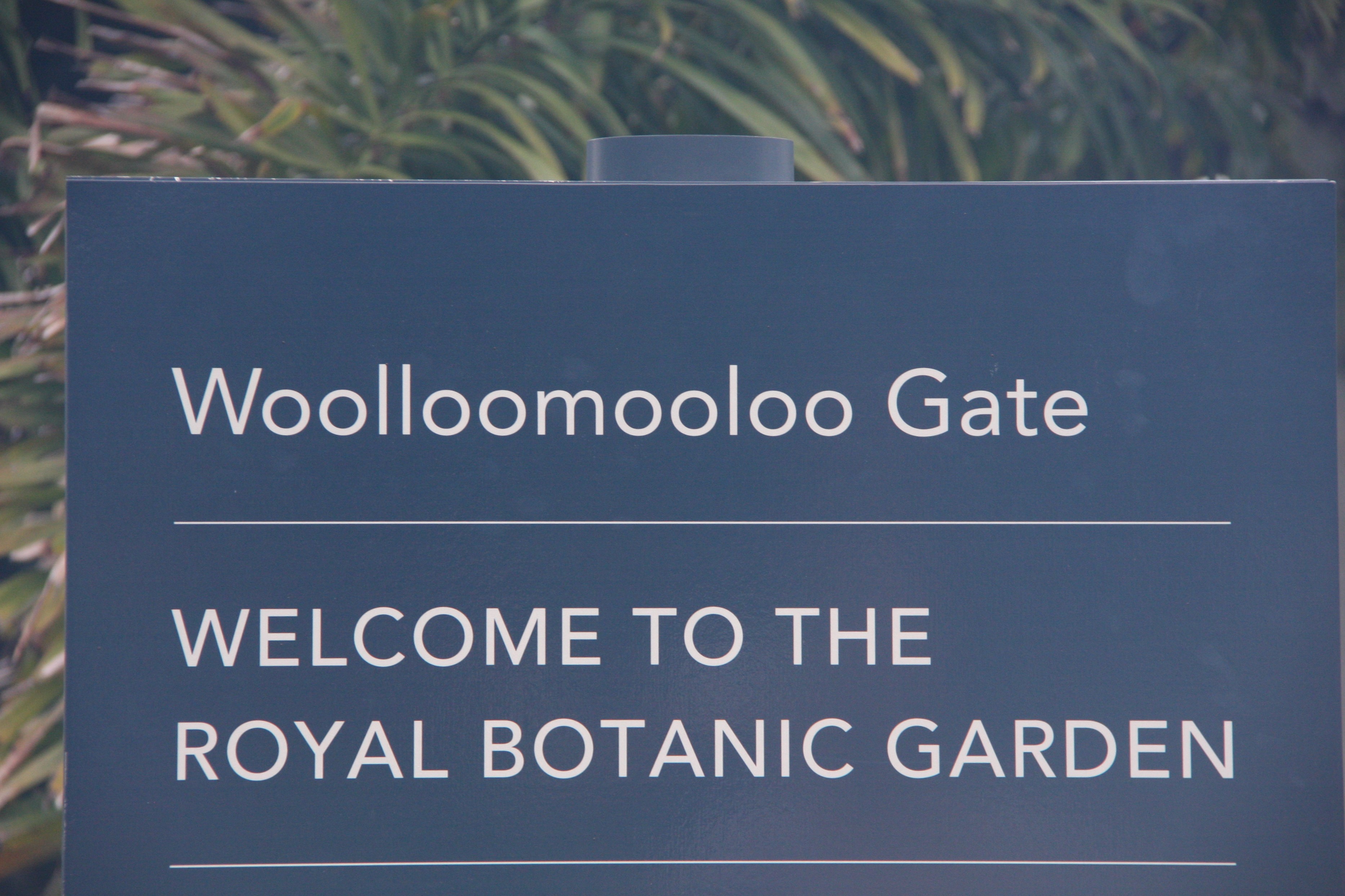 Itt a bizonyíték, hogy nem kitaláció a Woolloomoolo név