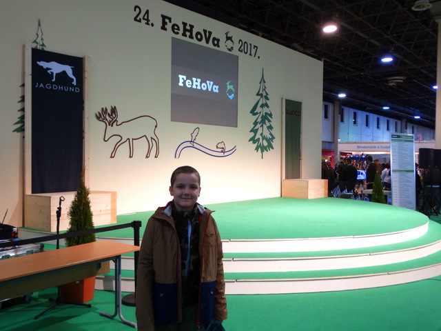 FeHoVa