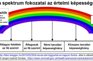 Tessék mondani mennyire autista?