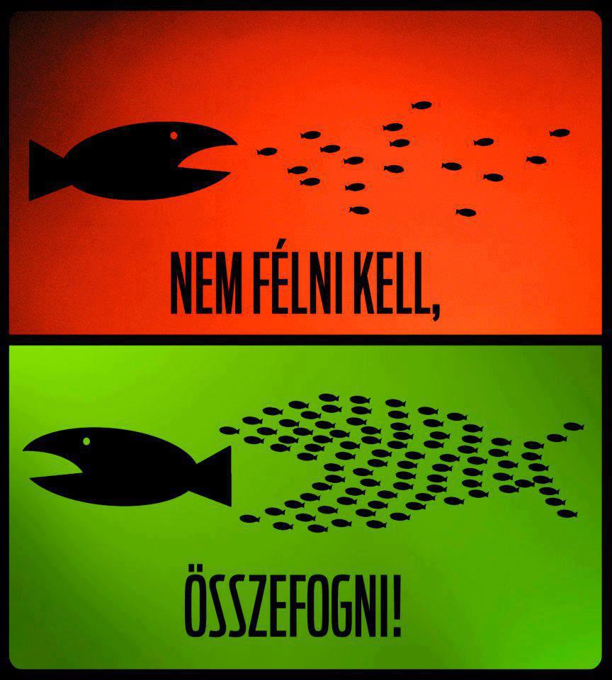 nem-felni-kell.jpg