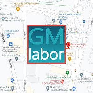 magan-labor-vervetel-google-gm-labor-301_2.jpg