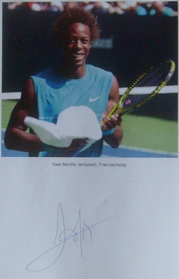 monfils.jpg